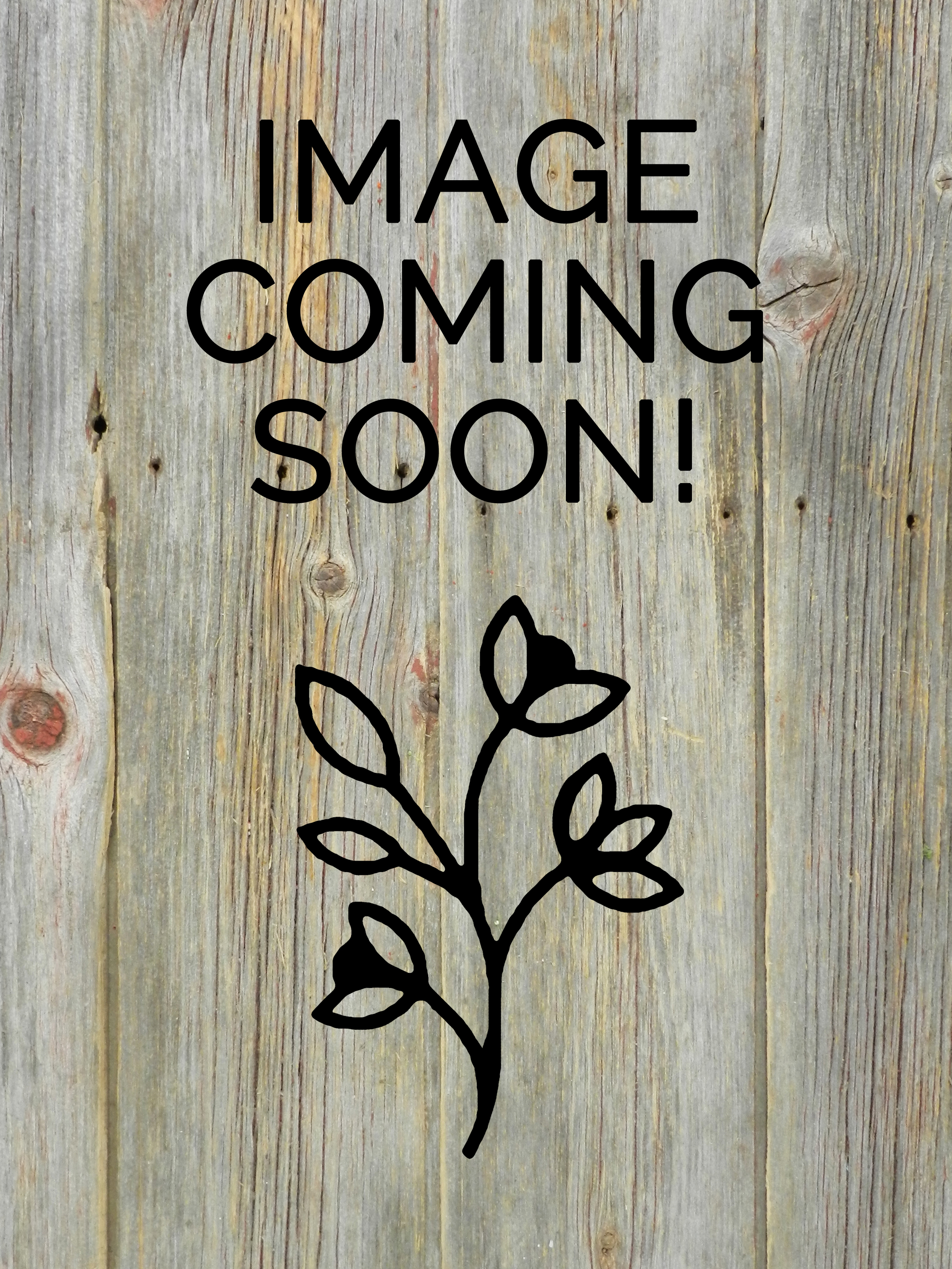 GARDEN OF THE ANDES # 2 SEASONAL COLORS COMBO BOX